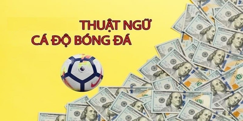 Một vài thuật ngữ căn bản trong bóng đá